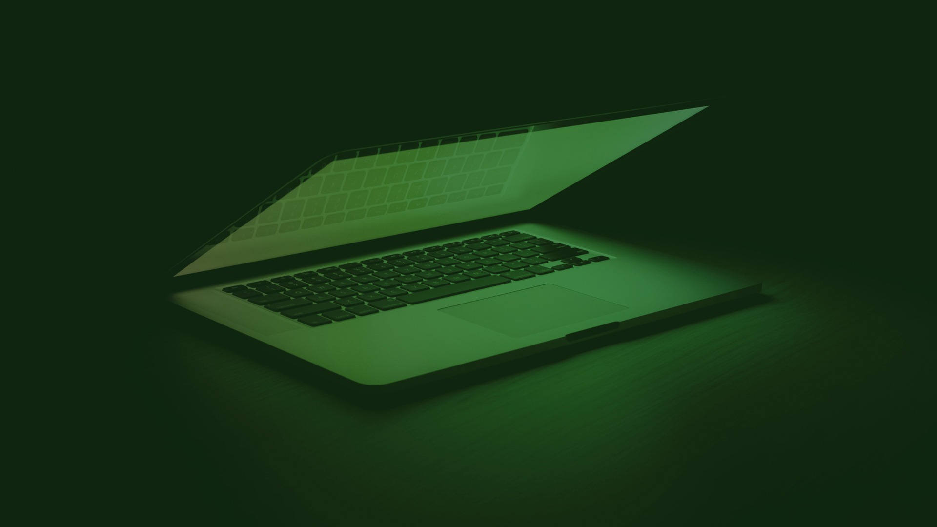 Services - Carbon Insight